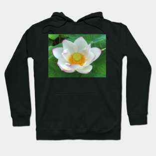 Luscious Lotus Hoodie